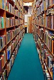 Library shelves filled with books and blue green carpet